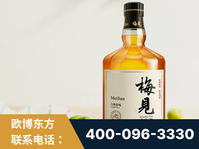 宿迁-梅见青梅酒